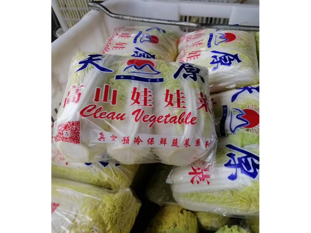 中國甘肅金昌國內(nèi)最的娃娃種植、加工基地，大型高端真空預(yù)冷機(jī)安裝完成。