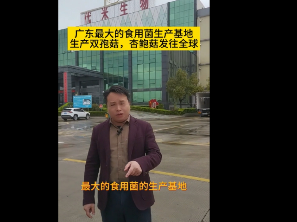 廣東最大的食用菌生產(chǎn)基地，代米生物真空預(yù)冷機(jī)使用現(xiàn)場(chǎng)